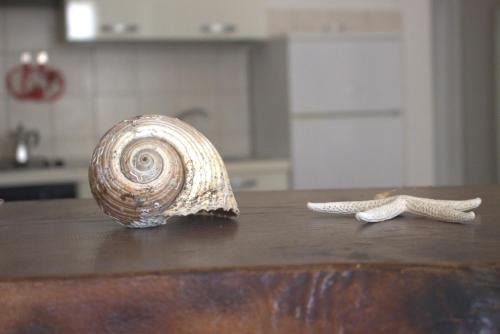 Lido Conchiglie Apartment | Lido dei Miracoli