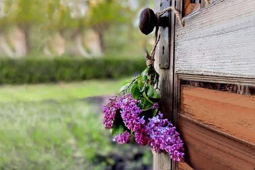 Montesicuro Bed & Breakfast | Lillac Cottage