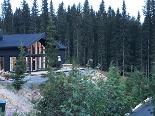 Trysil House | Lillebjørn