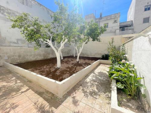 Lecce Apartment | Lily House