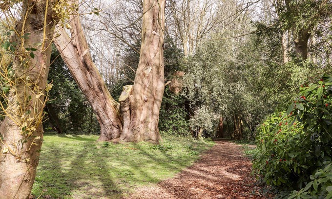 Pevensey Cottage | Lilyrose Cottage