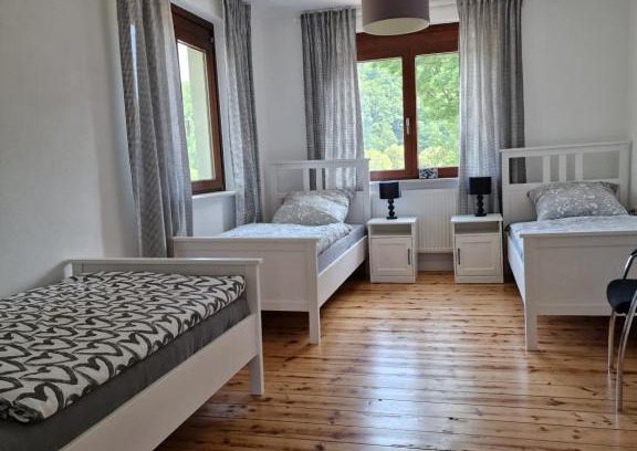 Hatzfeld Apartment | Lindenwohnung an historischer Mühle