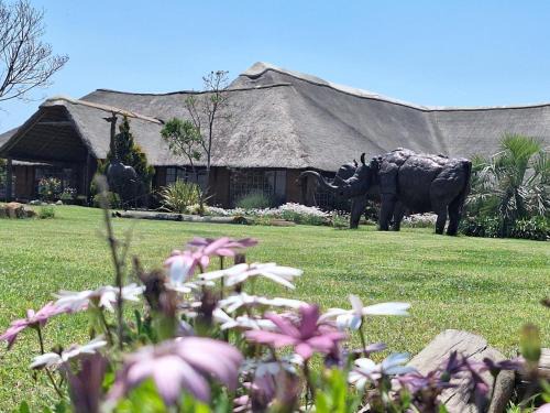 Umtshezi Cabin | Linglela Lodge