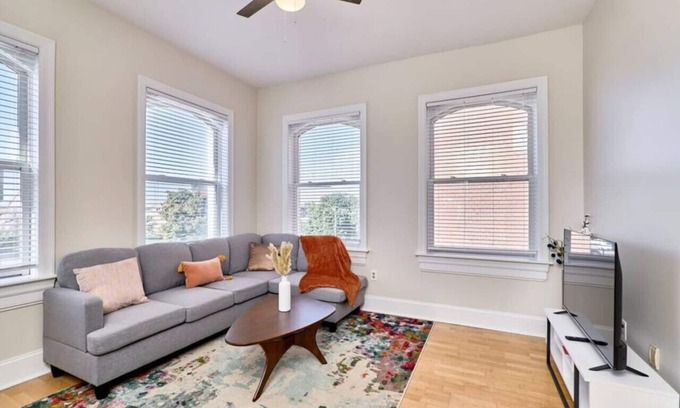 Grand Center Apartment | Lion Room 1 bed SLU, Grand Center, CWE