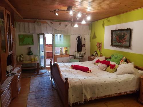 Sighisoara House | Littel green old Home