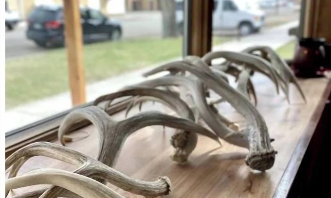 Fort Benton House | Little Blue Cabin