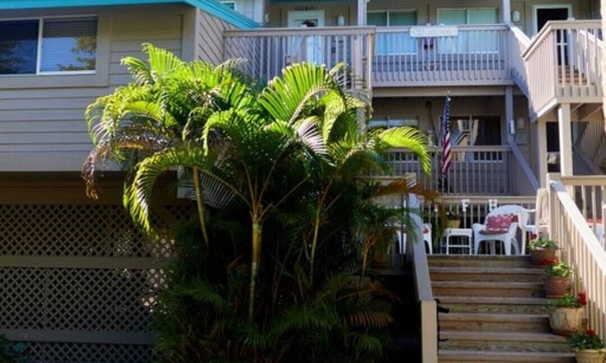 Placida Condo | Little Gasparilla Island Getaway