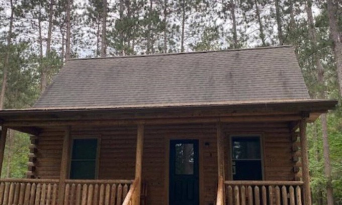 Reed City Cabin | Little Log Cabin in the Big Woods