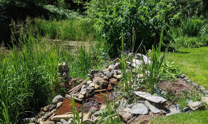 Lake Cowichan House | Little Suite in the Country