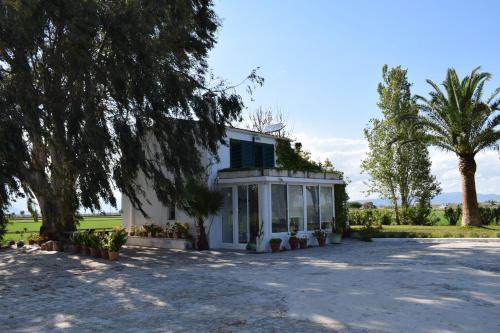 Amposta House | Lo Mas de Suriaca