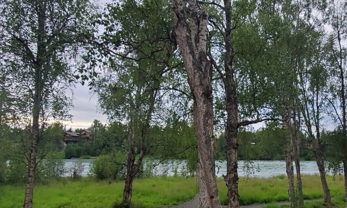 Soldotna House | LOCATED ON THE KENAI RIVER! Kenai River Haven Unit #2.