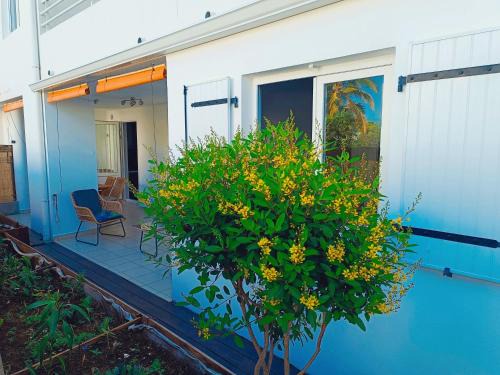 Boucan Canot Apartment | location Boucan-Canot