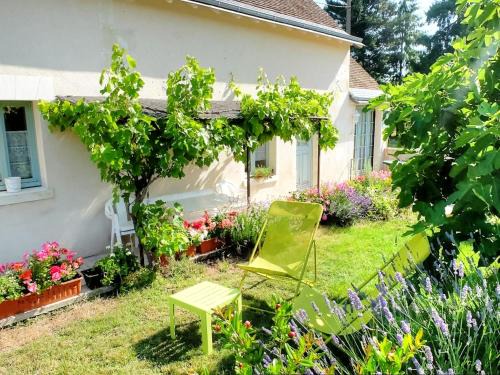 Mazieres-de-Touraine House | Location saisonnière: Gîte de charme avec jardin privé, proche des châteaux de la Loire et de la nature - FR-1-381-200