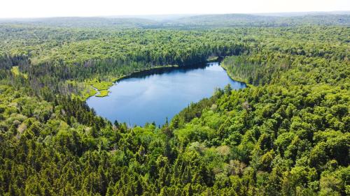 Madawaska Cabin | Lodge at Madawaska Ideal for Groups and hiking