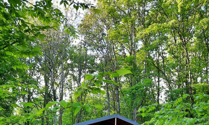Crouy-sur-Cosson Ski Chalet | lodge on stilts 2 swimming pools in Sologne near Chambord