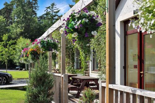 Pitlochry Cabin | Lodges by Atholl Palace