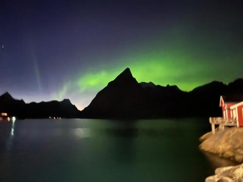 Hamnøya Apartment | Lofoten suite apartments - Rostad Retro Rorbuer