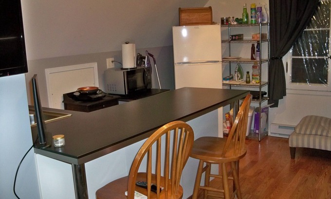 Des Plaines House | Loft Apt is above a detached Garage. Full bathroom, kitchenette, fridge, A/C