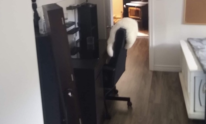 La Malbaie Apartment | Loft Avec Piscine Extérieure