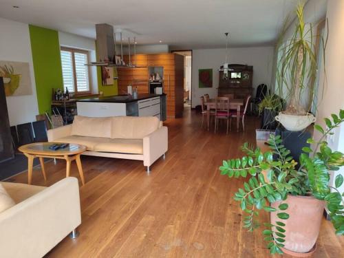 Lustenau Apartment | Loft mit Kamin und Whirlpool