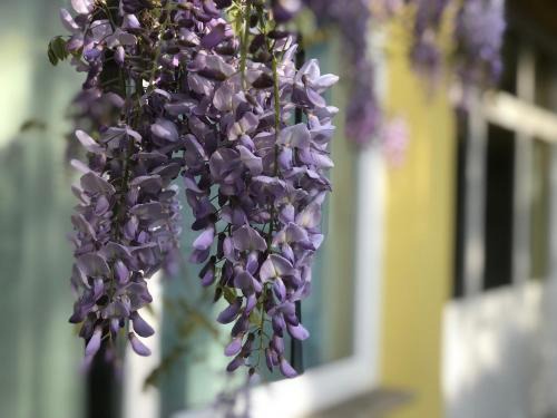 Crescenzago Apartment | Loft Sottolalbero