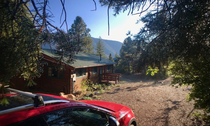 Pine Mountain Club Cabin | Log cabin w/sauna, cinema, deck, tree house, trampoline AND easy walk to town.