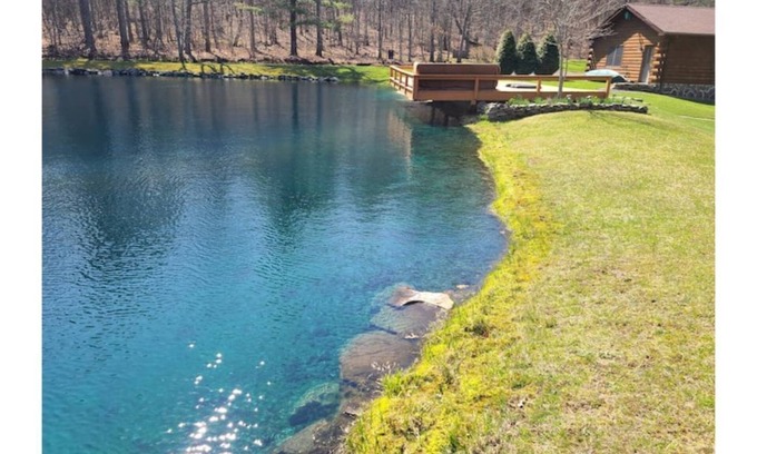 Narrowsburg Cabin | Log Cabin with Fireplace, Swimming Pond & Game Room, Close to Skiing