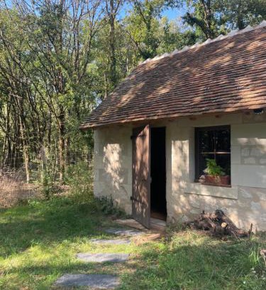Ingrandes-de-Touraine House | Loge de vigne