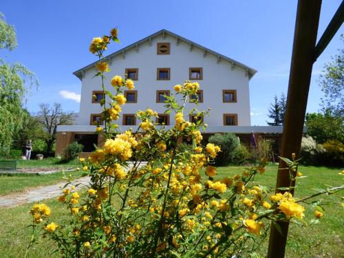 Saint-Bonnet-en-Champsaur Hotel | Logis Hôtels La Crémaillère
