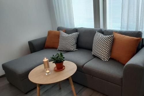 Sotkamo Apartment | Lomayksiö C 2 Sotkamon keskustassa