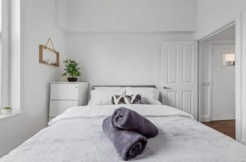 Shaftesbury Apartment | London - 2 Bedroom Flat near Clapham Junction CJ
