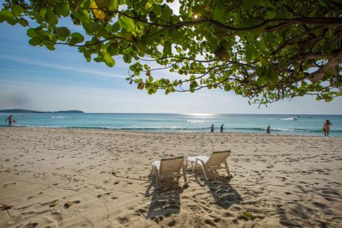 Chaweng City Center Resort | Long Beach Lodge, Chaweng Beach, Koh Samui