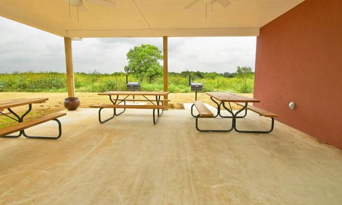 Pleasanton House | Longhorn Museum Tour! 3 Pet-friendly Units w/ Private Kitchens & Free Parking!