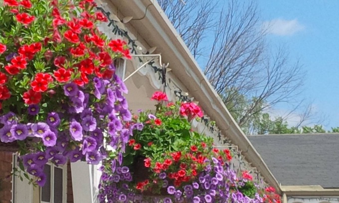 Kingston Hotel | Lord Nelson Motel