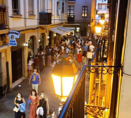 Logrono Historic Centre Apartment | Los Balcones de Laurel