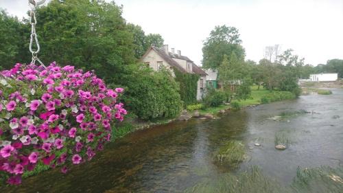 Poltsamaa Apartment | Lossi 8 -4 Põltsamaa Maida