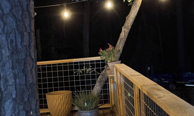 Circle D-KC Estates Cabin | Lost Pines Cabin: Near Lake Bastrop, Hiking, & 35 Mins from Austin