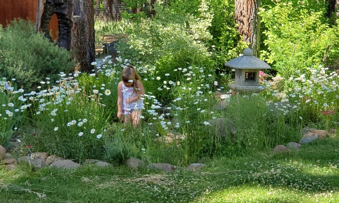 Iron Horse House | Lost Sierra Mountain Home