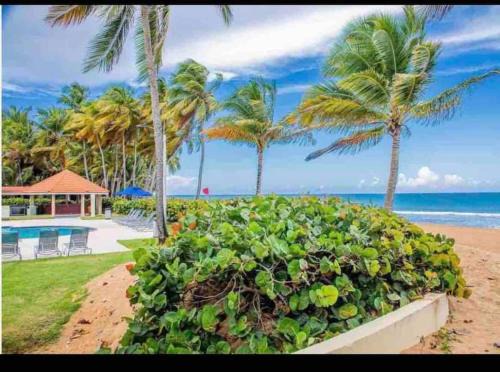Mameyes II Apartment | Lovely 2 Bed room villa with Beach & Pool