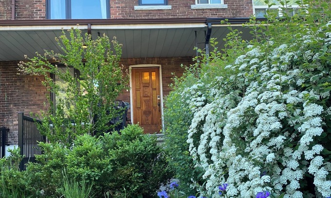 Little Italy Apartment | Lovely 3 Bedroom house in Little Italy