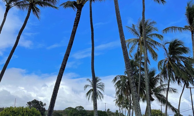 Poipu Condo | Lovely beach view condo in Poipu!