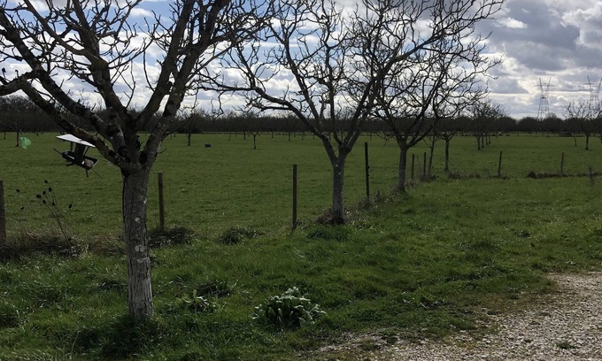 Bourg-sur-Gironde Cottage | Lovely farm cottage