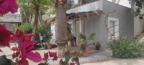 Benajarafe Apartment | Lovely Guesthouse in Benajarafe