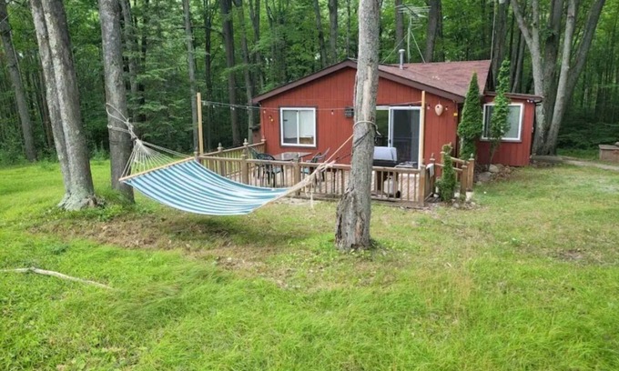 Harrison Cabin | Lucky Bear Lodge. Secluded Cabin in the Woods, Beach access. Pet friendly