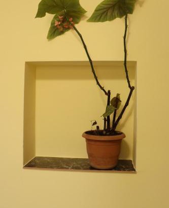 Garni House | Lucy guest house
