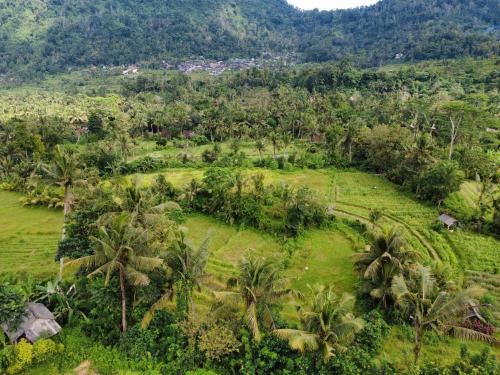 Sidemen House | Lumbung Intan