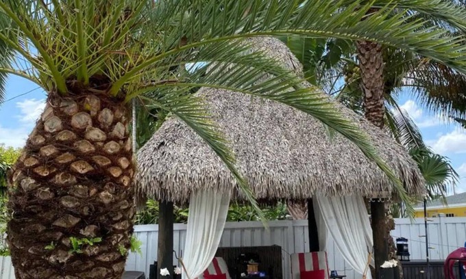 Ludlam House | 🌺Luxe Tropical Paradise🌺Superhost🌺Post-Op 🌺Solo & Couples Escape in Miami🌺
