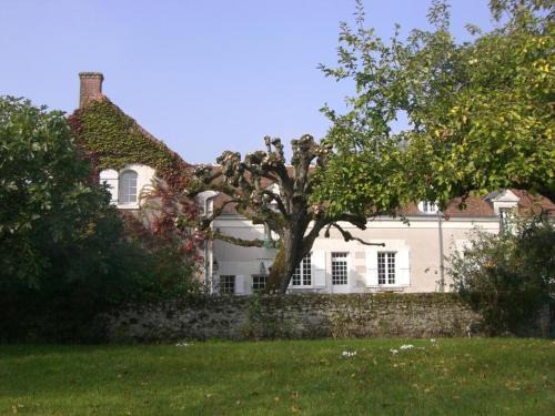 Saint-Georges-sur-Cher House | Luxueuse demeure rénovée avec piscine chauffée et vaste parc, à proximité des châteaux et du zoo de Beauval - FR-1-491-347