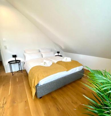 Mainz-Bingen Apartment | Luxuriöses Penthouse mit Parkplatz zentral in Eltville