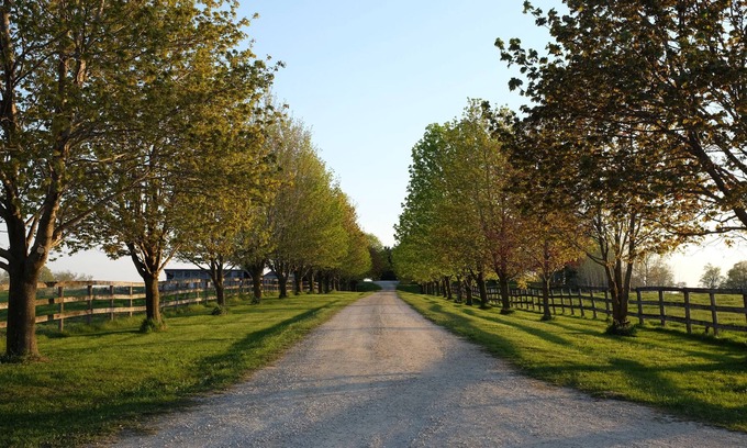 Centre Wellington House | Luxurious Farmhouse Equestrian Estate Getaway